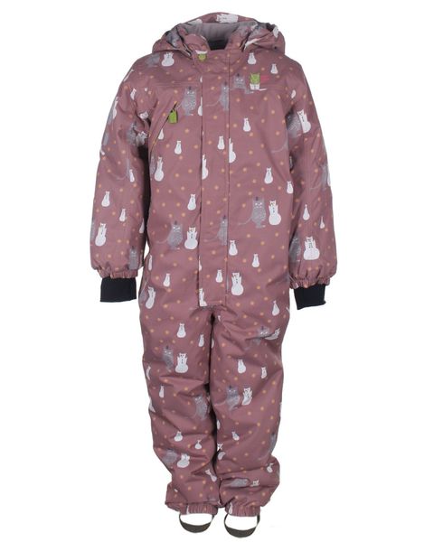 Kattnakken , parkdress snø sandeltre